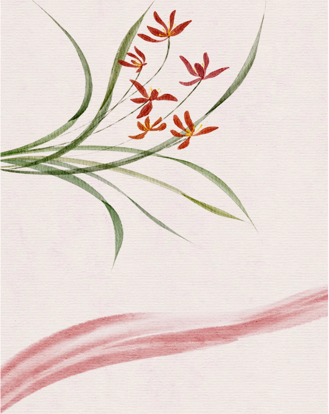 image.png?v=1762124792502