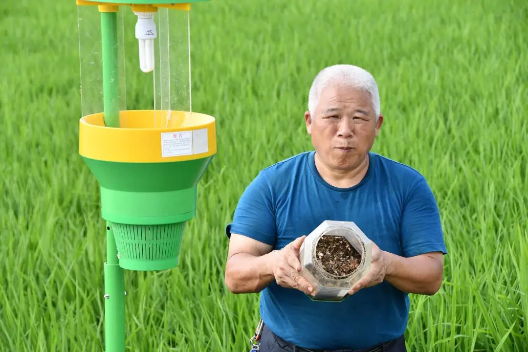 1 1.jpg?v=1765946306360