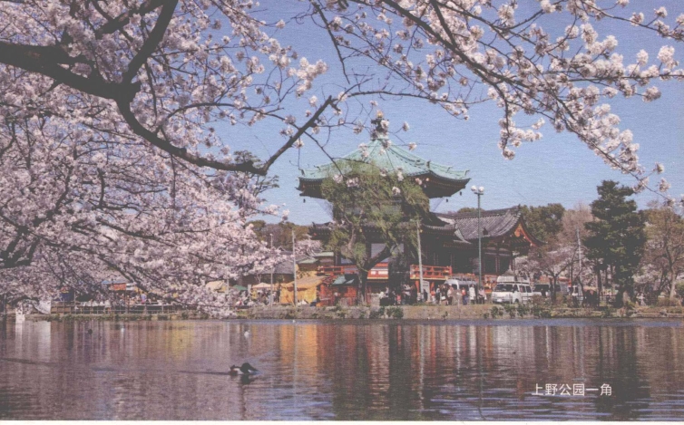 pagenumber_ebook=95,pagenumber_book=87