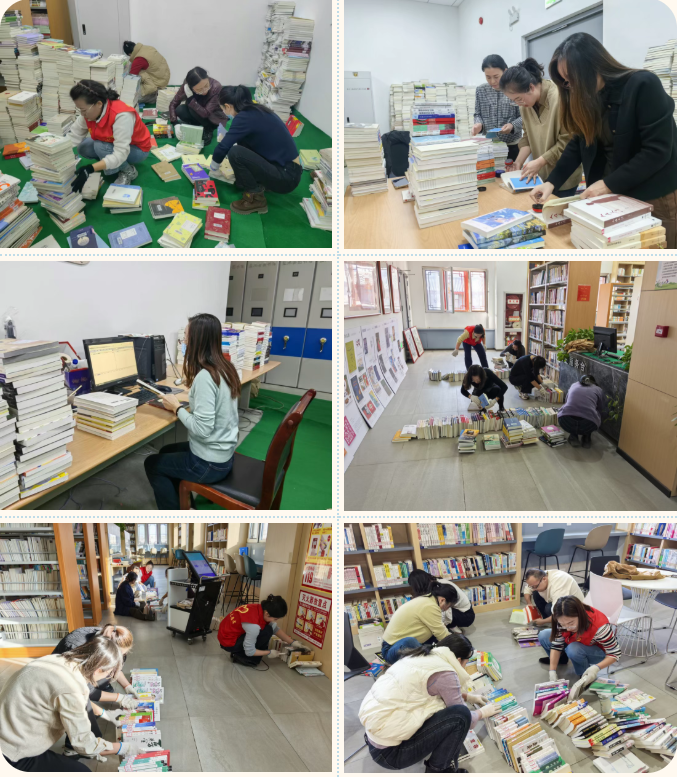 image.png?v=1767454357862