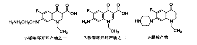pagenumber_ebook=264,pagenumber_book=246