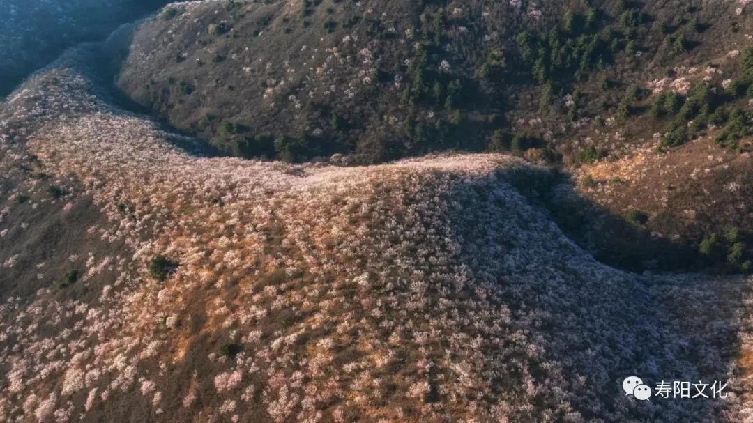 微信图片_20230329163155