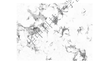 pagenumber_ebook=80,pagenumber_book=73