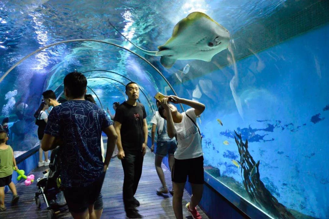 微信图片_20210930103755 微信图片_20210930103755.jpg