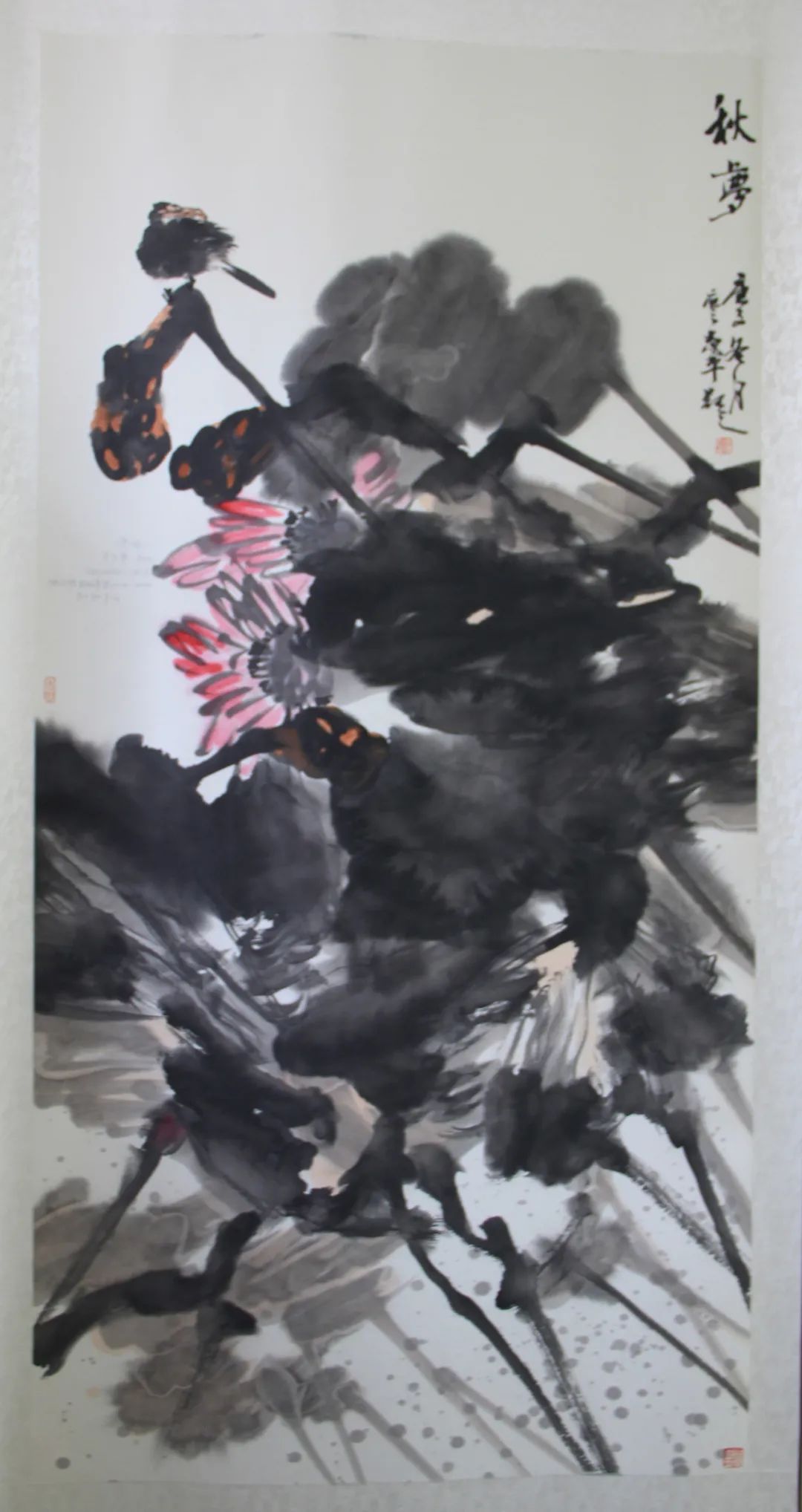 7 7.jpg?v=1762795759136