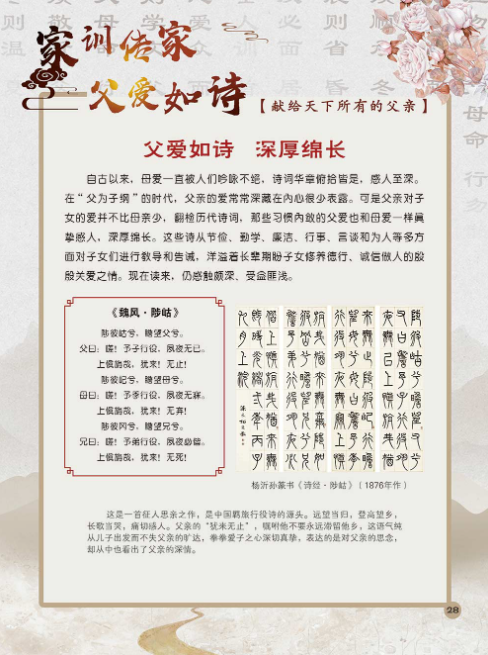 图片.png?v=1731671326782