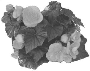 pagenumber_ebook=216,pagenumber_book=216