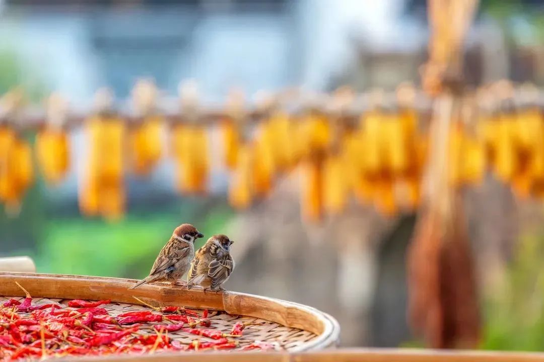 1e3e7330eee5ffc442fd6de4422fe702 1e3e7330eee5ffc442fd6de4422fe702.jpg