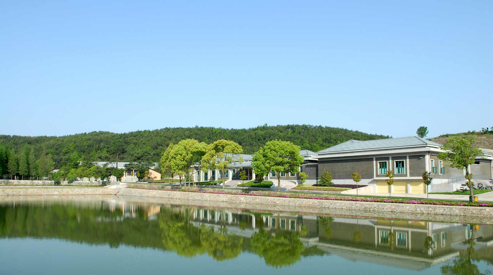 全景