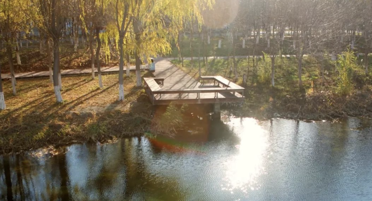 截屏2023-12-25 17.53.01