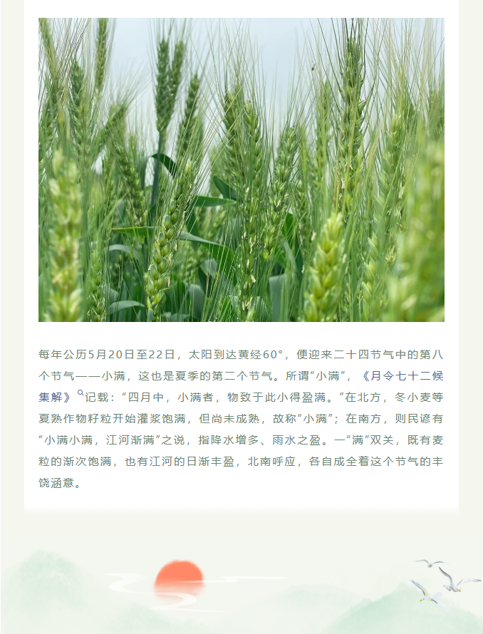 image.png?v=1780832900752