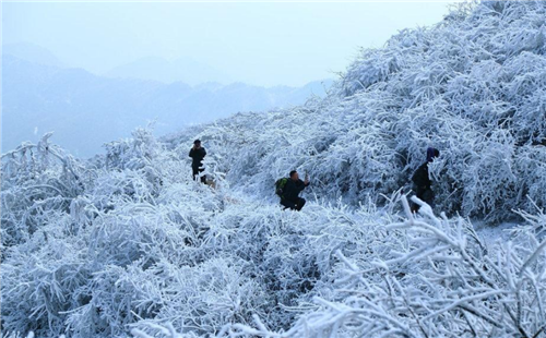 微信图片_20201205193659 微信图片_20201205193659.png