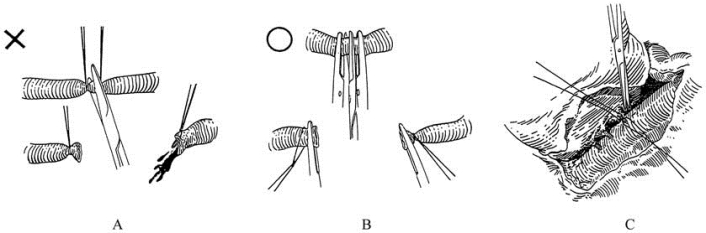 pagenumber_ebook=107,pagenumber_book=92