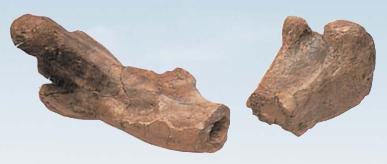 pagenumber_ebook=120,pagenumber_book=109