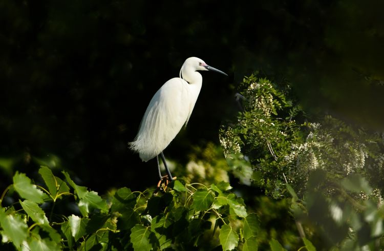 微信图片_20210506094904