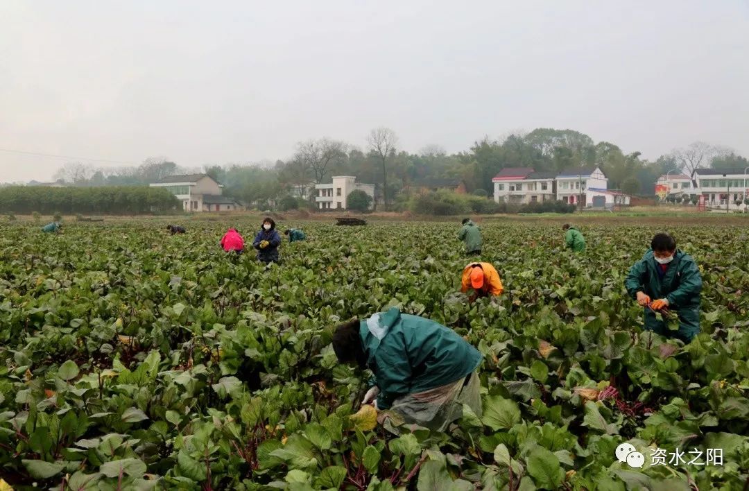 1 1.jpg?v=1765925486137