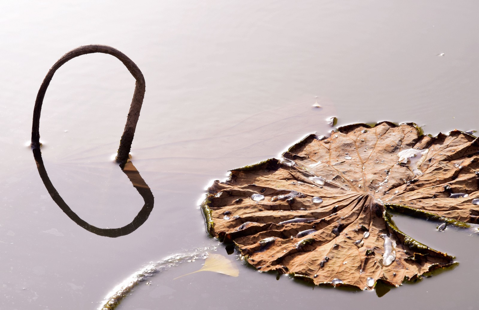 心是清骨自坚韧 王祥领