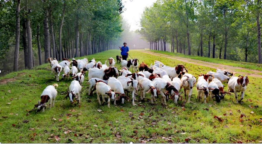 微信图片_20211222112526 微信图片_20211222112526.jpg