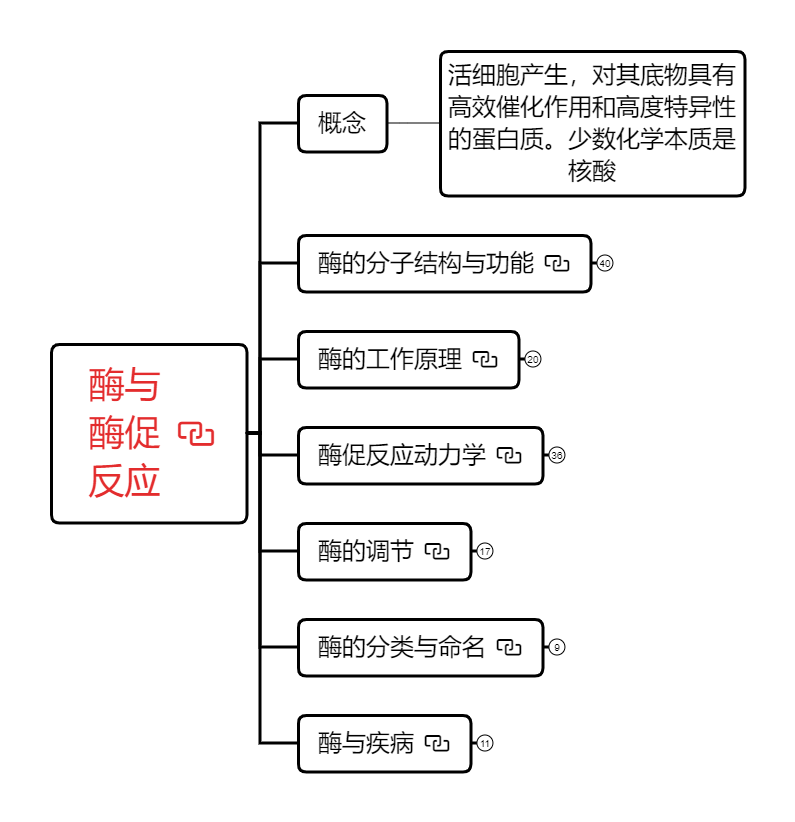 酶与酶促反应-1.png
