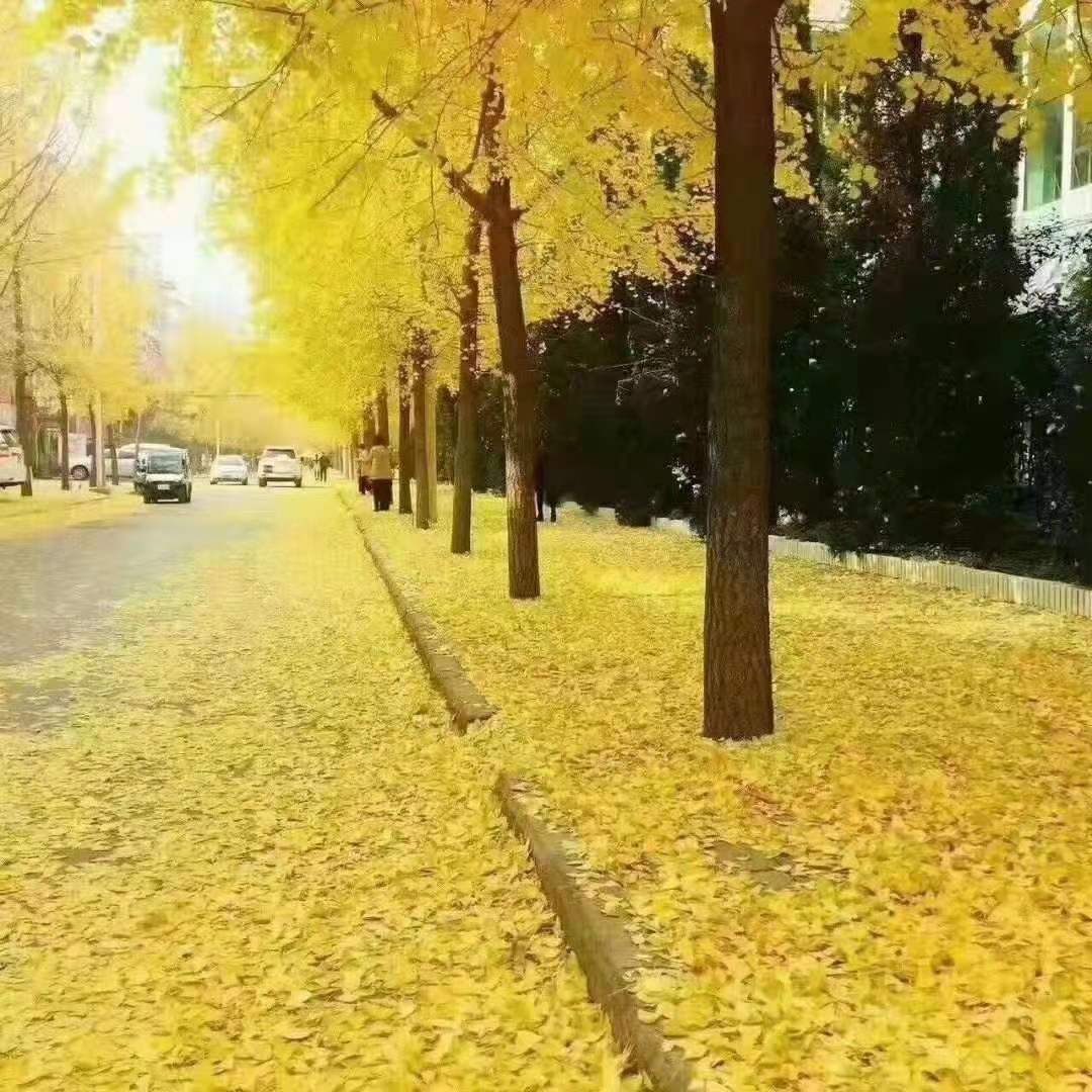 微信图片_2020121420150311 微信图片_2020121420150311.jpg