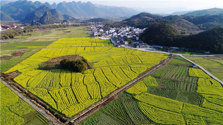 微信图片_20180308105035 微信图片_20180308105035.jpg?v=1772873343687