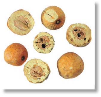 pagenumber_ebook=142,pagenumber_book=129