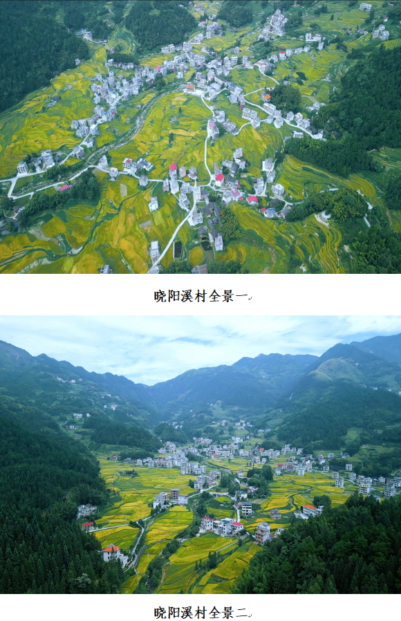 1732356196113 1732356196113.png