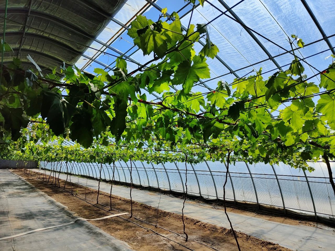 微信图片_20210416150154