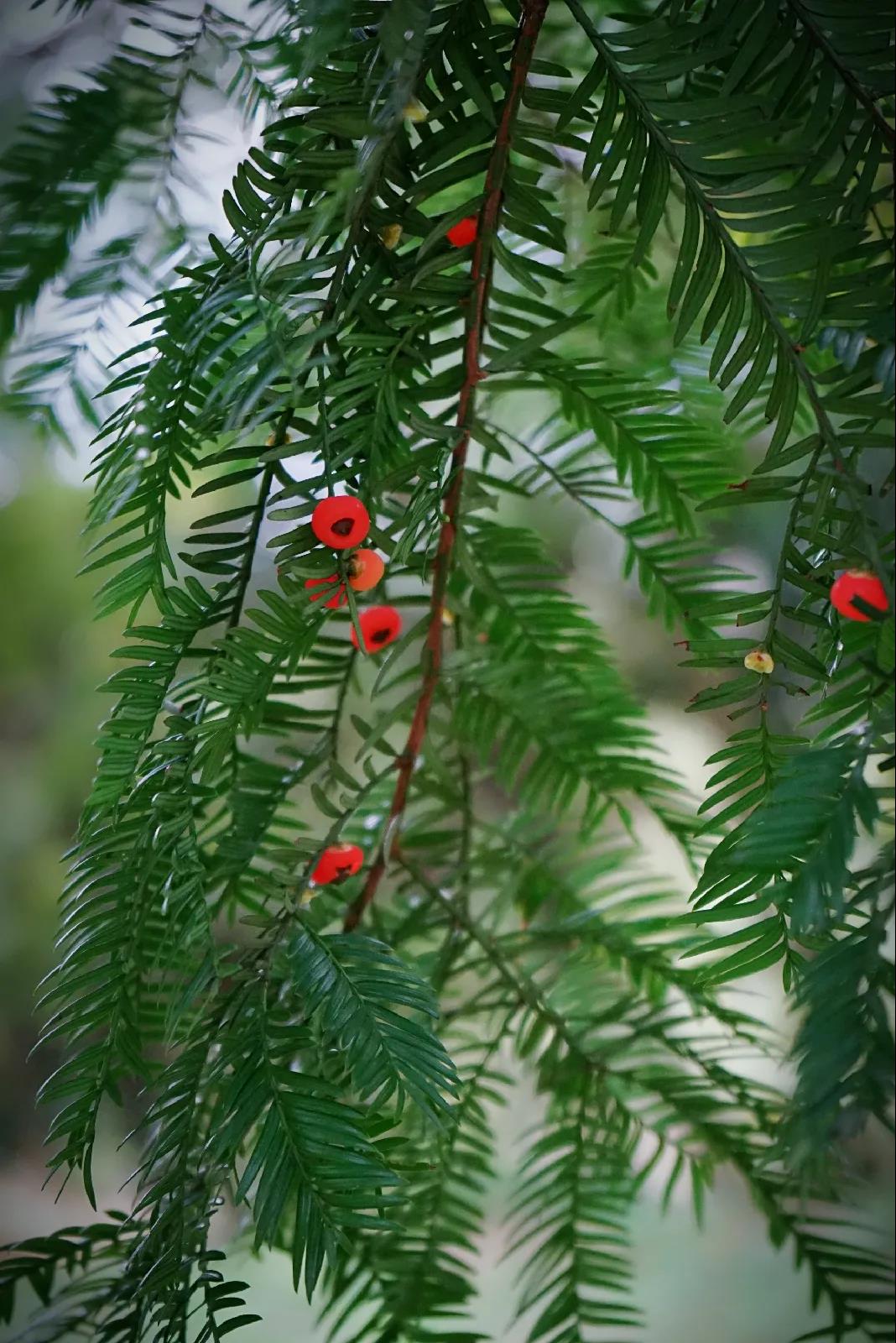 微信图片_20201124234230