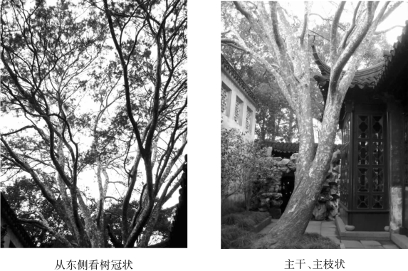 pagenumber_ebook=74,pagenumber_book=74