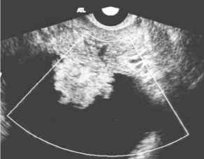 pagenumber_ebook=630,pagenumber_book=630