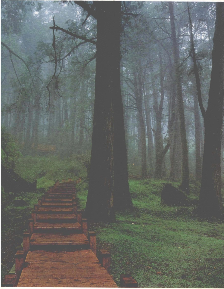 pagenumber_ebook=163,pagenumber_book=155