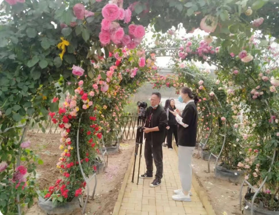 69913bd9f720bb49d4ff3a8eacbc82e 69913bd9f720bb49d4ff3a8eacbc82e.jpg