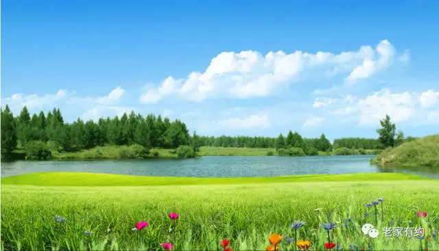 20170615214215_q6h3mp5cs9 20170615214215_q6h3mp5cs9.png?v=1773785827743