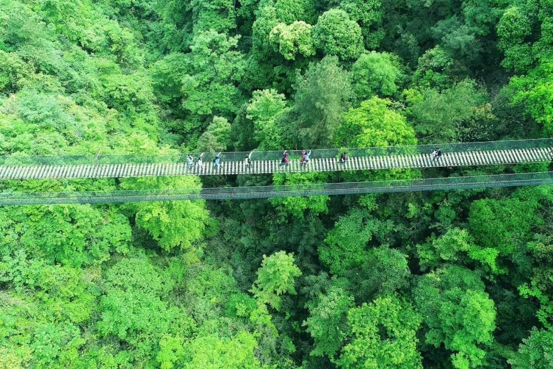 微信图片_20210923155731 微信图片_20210923155731.jpg