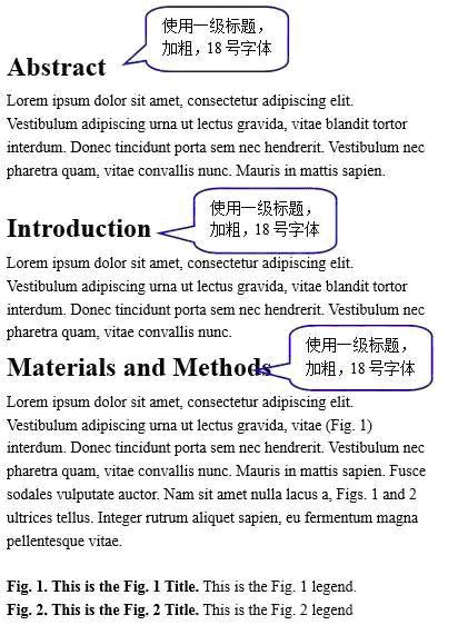 t1.jpg?v=1747934739581