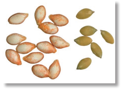 pagenumber_ebook=157,pagenumber_book=144