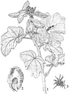 pagenumber_ebook=207,pagenumber_book=207