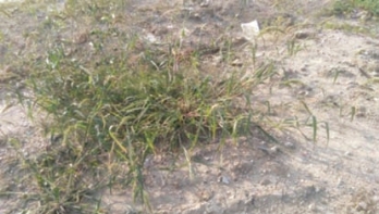 pagenumber_ebook=158,pagenumber_book=150