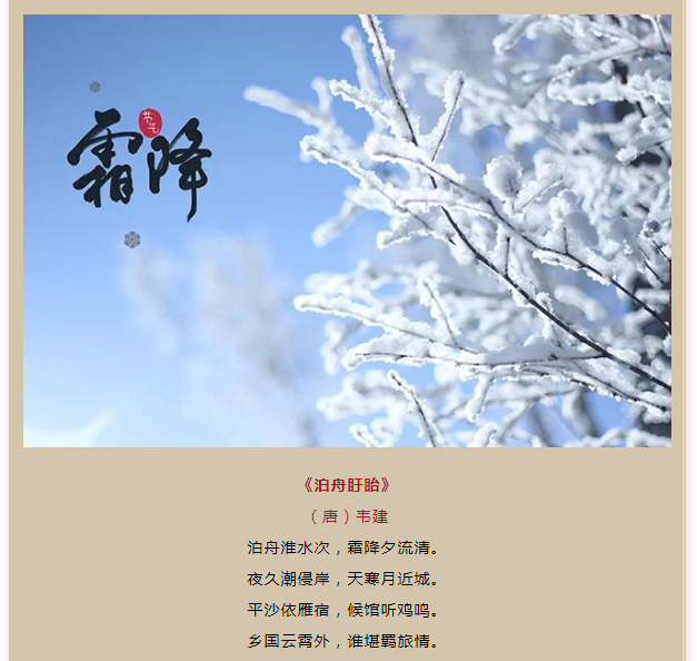 image.png?v=1750226782663