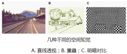空间知觉插图.JPG