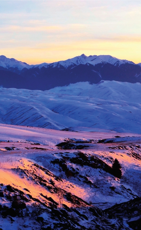 pagenumber_ebook=95,pagenumber_book=84