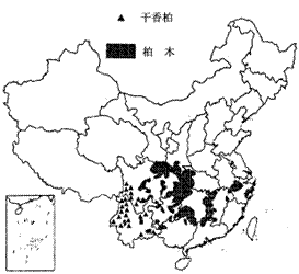 分布图8  干香柏、柏木分布图