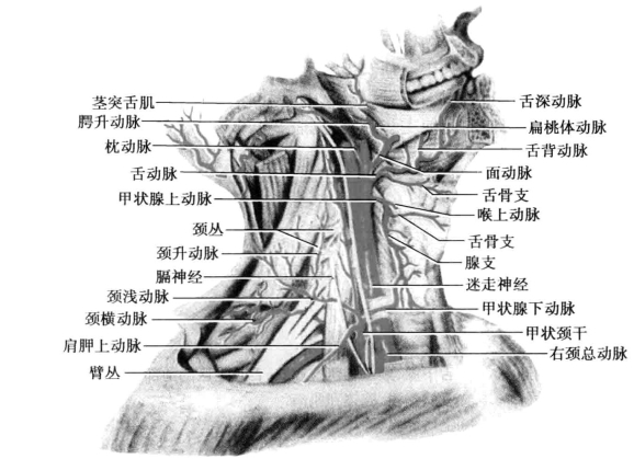 pagenumber_ebook=76,pagenumber_book=67
