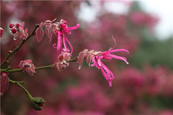 IMG_6350 IMG_6350.jpg