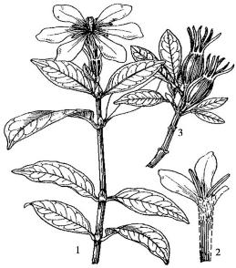 pagenumber_ebook=155,pagenumber_book=155