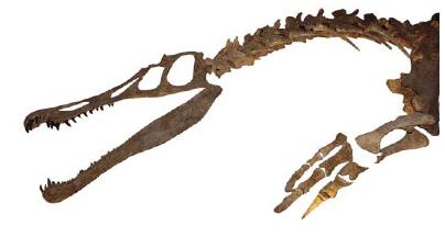 pagenumber_ebook=123,pagenumber_book=112