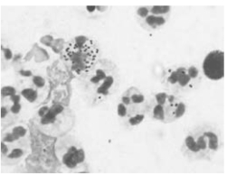 pagenumber_ebook=53,pagenumber_book=46