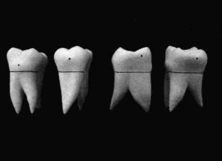 pagenumber_ebook=210,pagenumber_book=201