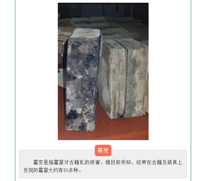 image.png?v=1754275719565